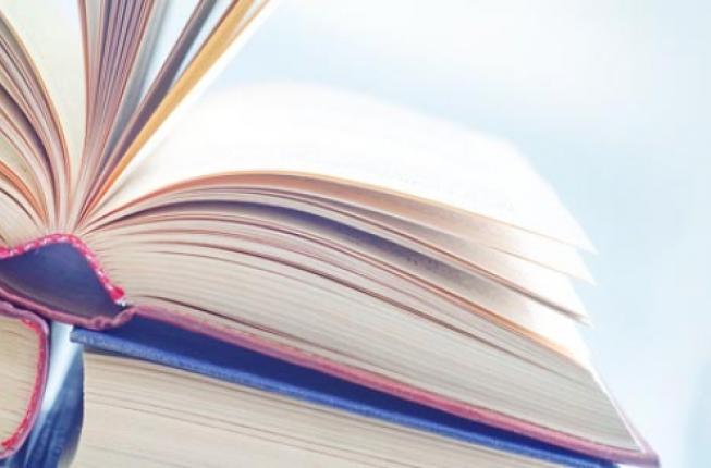 Collegamento a L'evoluzione della categorizzazione morfosintattica: tipologia e implicazioni per la ricostruzione comparativa